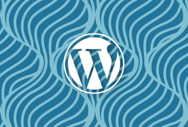 WordPress Training