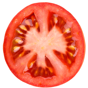 Tomato 1